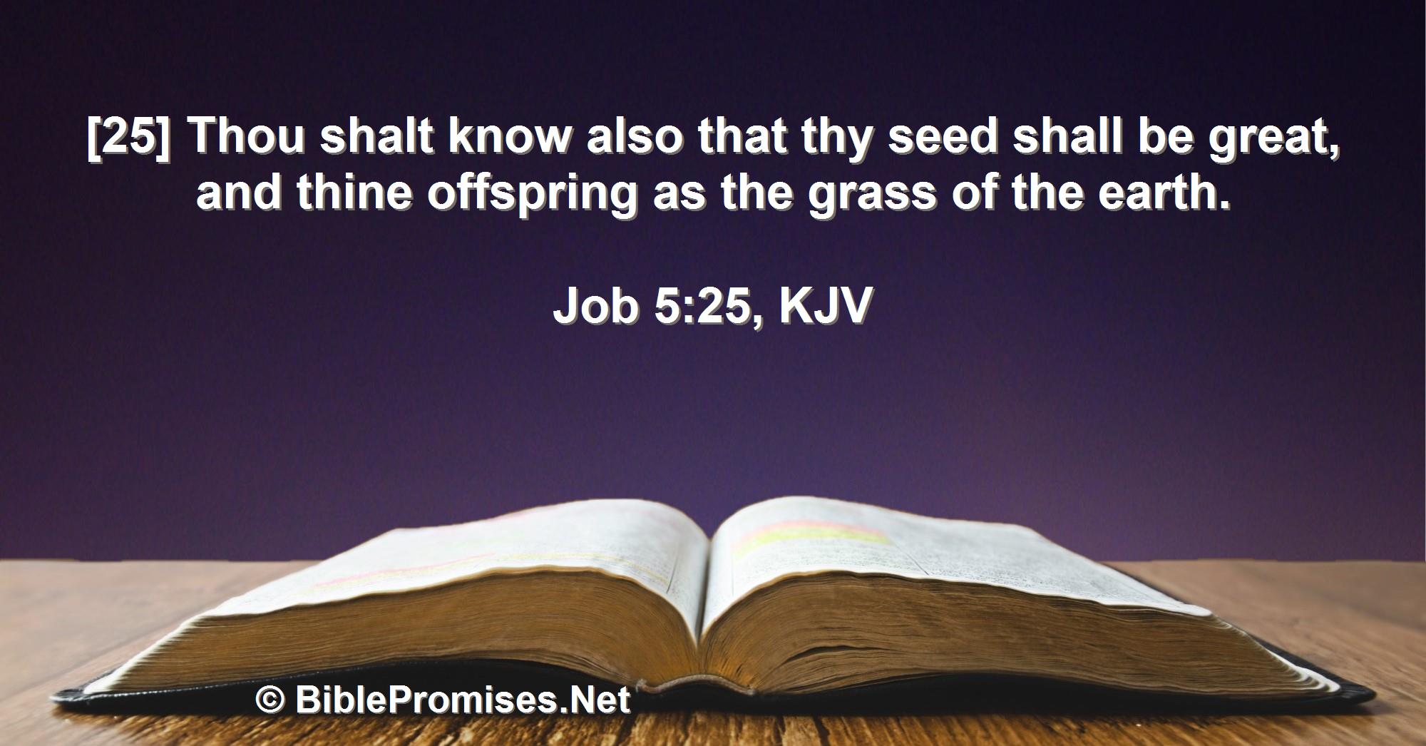 Job 5:25 (KJV)